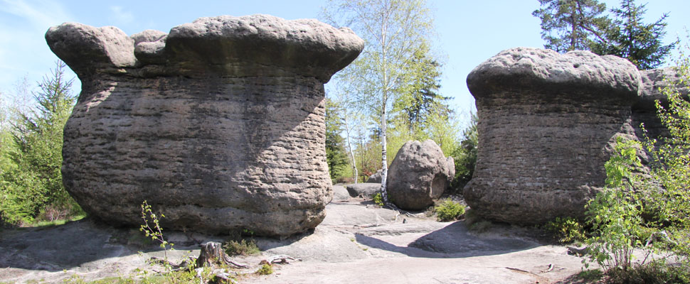Broumovské stěny - hřiby